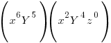 (x^6Y^5)(x^2Y^4z^0)